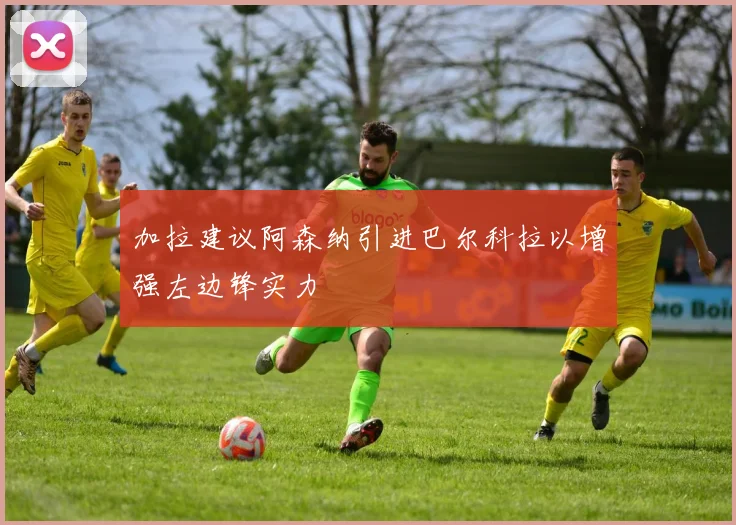 加拉建议阿森纳引进巴尔科拉以增强左边锋实力