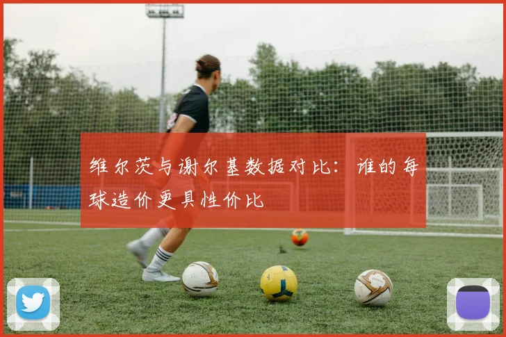 维尔茨与谢尔基数据对比：谁的每球造价更具性价比