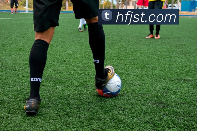 米兰网站在线登入平台生态图